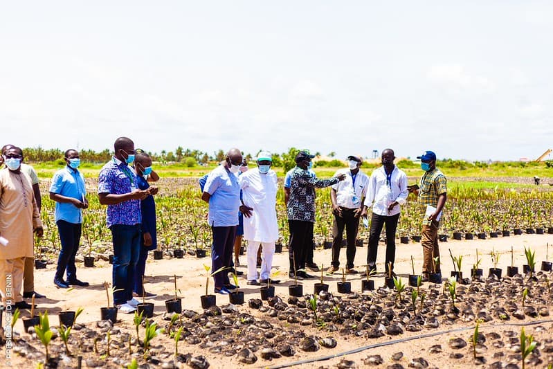 Nominations stratégiques : le gouvernement renforce les secteurs agricole et environnemental