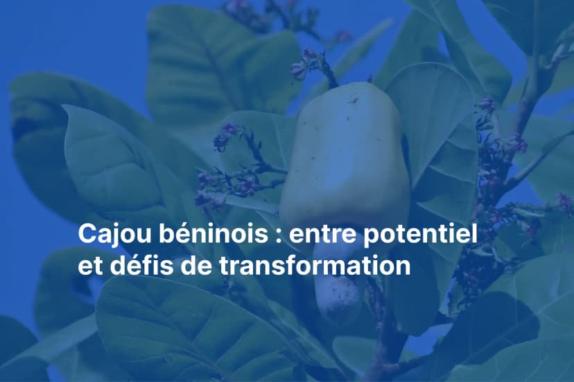 Bénin : Nominations stratégiques et campagne cajou 2025 lancée
